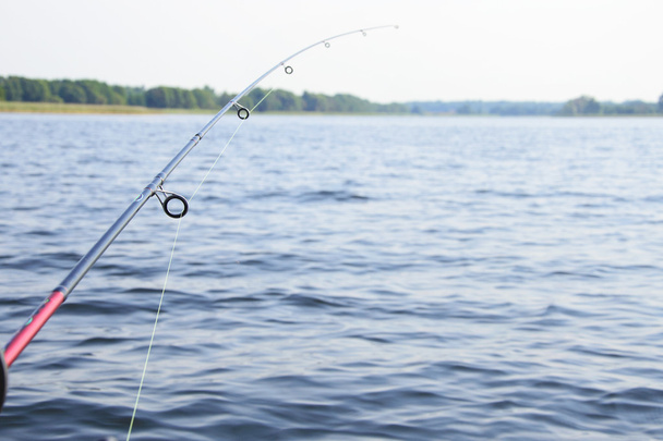 Tengeri halászat, Spinning - Fotó, kép