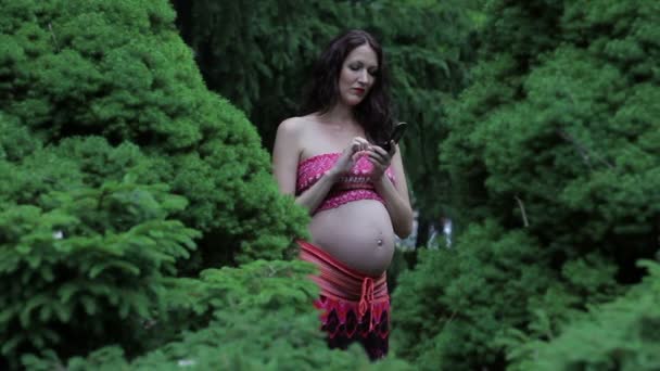 Mujer embarazada con una panza grande en un parque en el teléfono
. - Imágenes, Vídeo