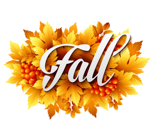 Autumn typographic. Fall leaf. Vector illustration  - Vector, Image