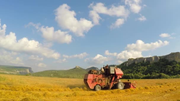 Combine Mowing Grains At Picturesque Place - Footage, Video