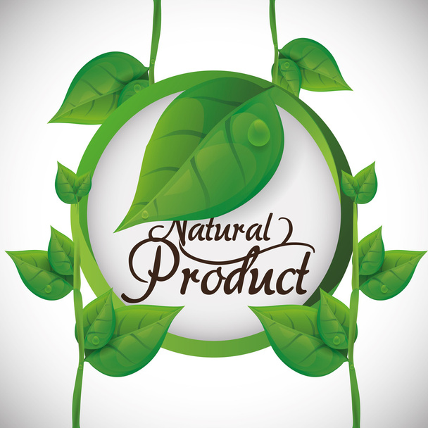 Natural product design  - Вектор, зображення
