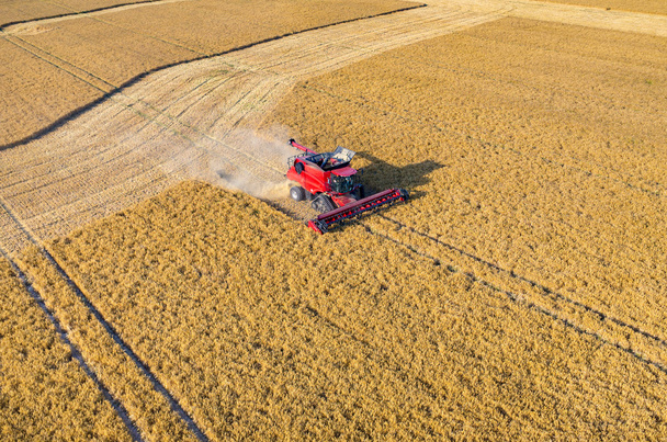 комбинировать работу на пшеничном поле
 - Фото, изображение