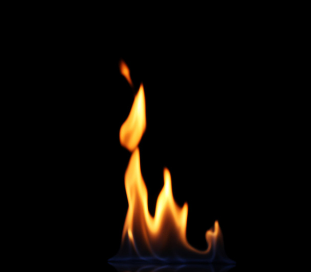 Beautiful fire on a black background - Fotoğraf, Görsel