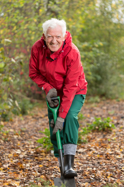 Senior man with spade in garden - Foto, Bild