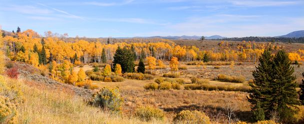 Panorama de otoño
 - Foto, Imagen