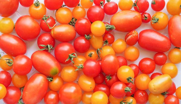 hortalizas de tomate
 - Foto, imagen