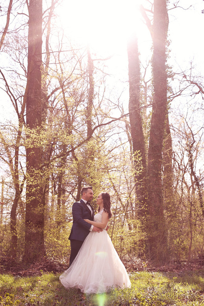 Bride and groom in a beautiful forest - Photo, image