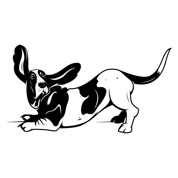 Niedlicher Basset-Hund - Vektor, Bild