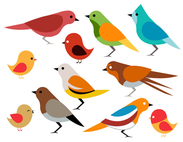 Набор различных птиц
  - Вектор,изображение