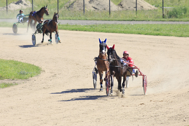 Carreras de caballos en el hipódromo Sibirskoe podvorie
 - Foto, Imagen