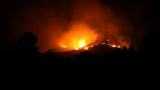 Лесные пожары ночью
 - Кадры, видео