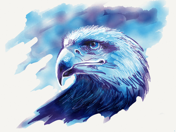 Ilustração da águia
 - Foto, Imagem