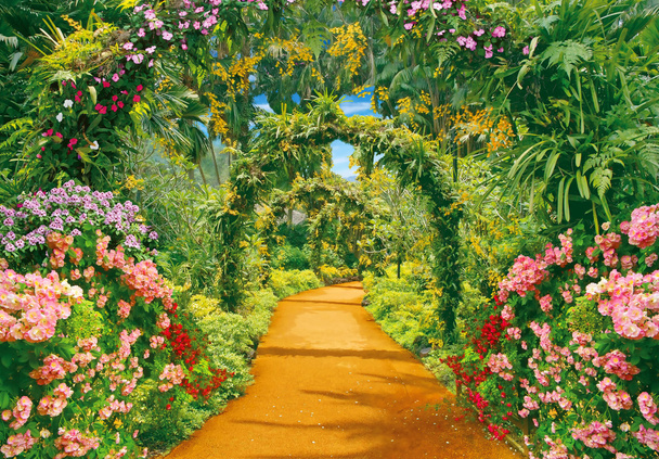 Virág alley és liana ívek - Fotó, kép