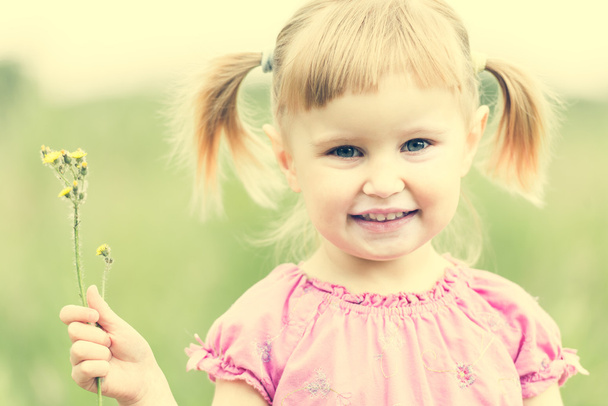 Cute little girl on the meadow  - Foto, Imagem
