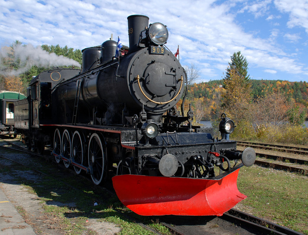 Treno a vapore in autunno
 - Foto, immagini