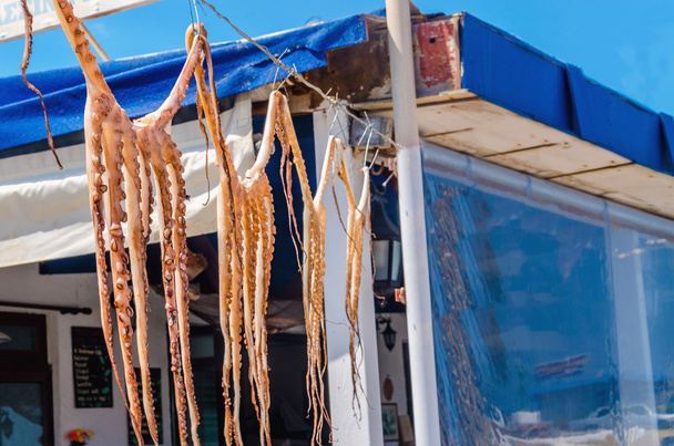 Pulpo colgado para secar en una cuerda por restaurante
 - Foto, imagen