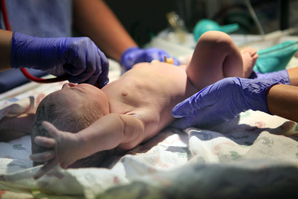μόλις γεννηθεί νεογέννητο κοριτσάκι - Φωτογραφία, εικόνα
