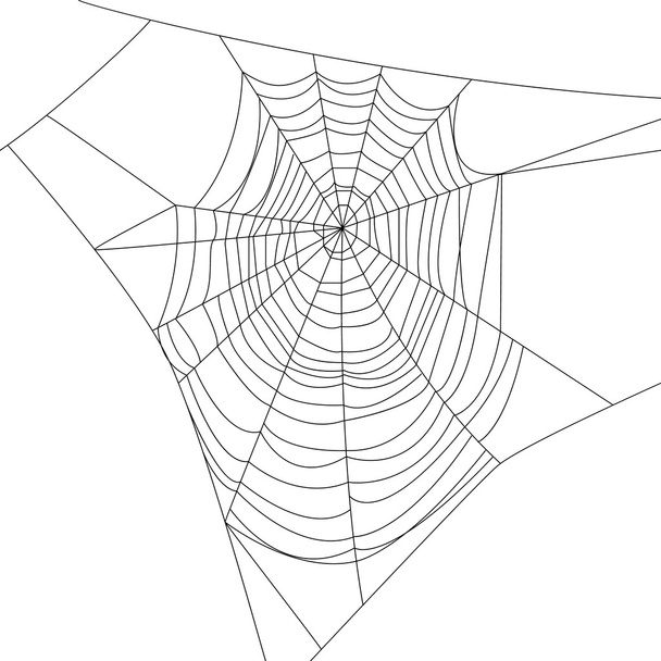Spider web - Vector, Image