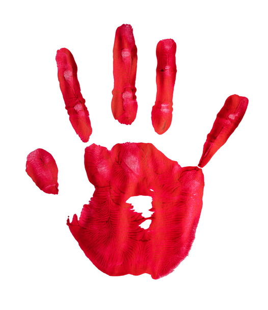 Hand print red paint isolated - Foto, Imagem