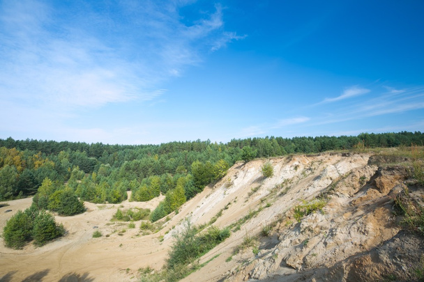 Песчаные холмы и сосновый лес
 - Фото, изображение