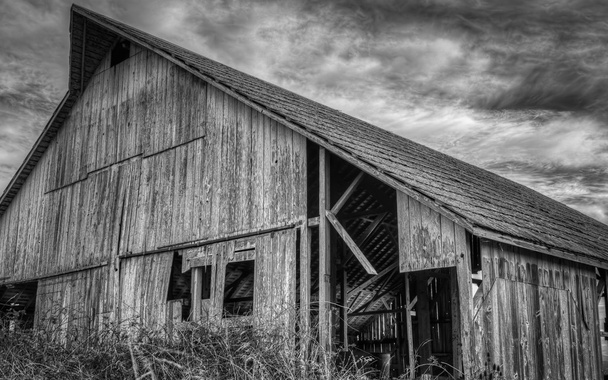 Abandoned Barn, Black and White Image - Photo, Image