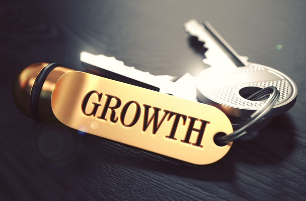 Les clés de la croissance. Concept sur porte-clés doré
. - Photo, image