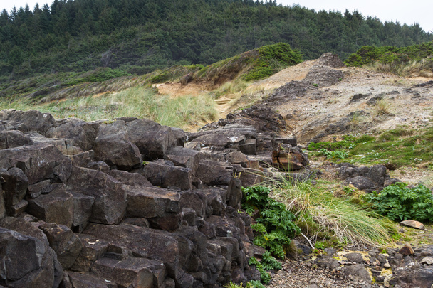 Geologie van de Oregon coast - Foto, afbeelding