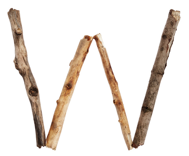 letter W made from sticks - Photo, Image