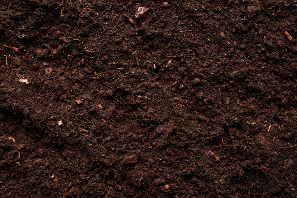 Black Soil texture - Photo, Image