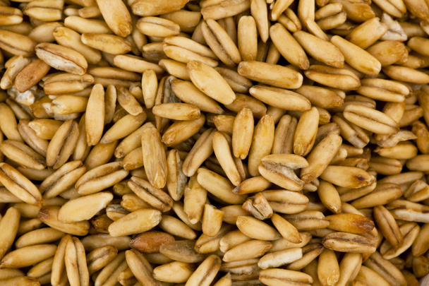Cereal grains oats - Foto, Imagen