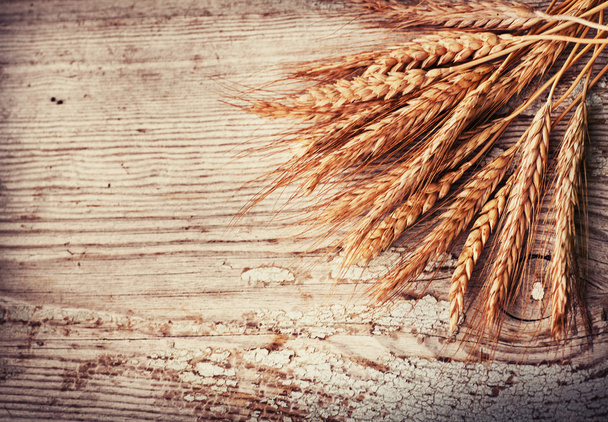 Spikelets of wheat on old wooden table - Fotografie, Obrázek