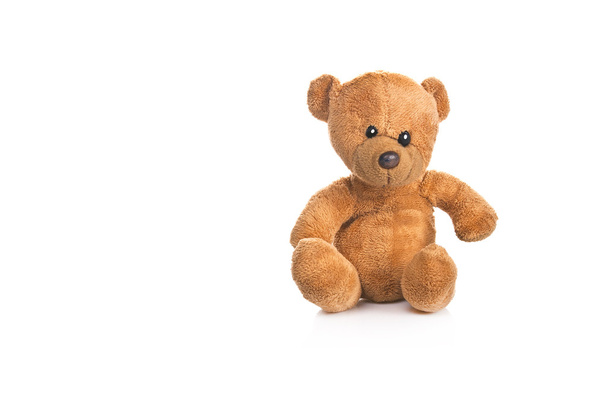 TEDDY BEAR ISOLATED - Photo, Image
