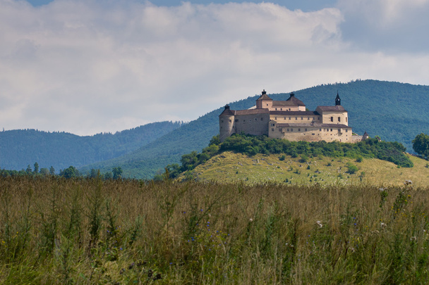 The Krasna Horka Castle. - Fotoğraf, Görsel