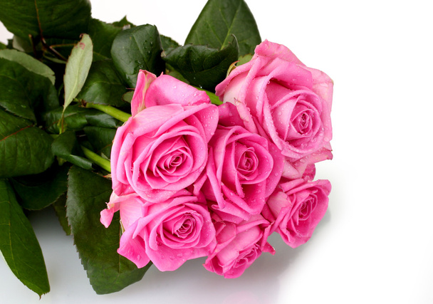 Many pink roses isolated on white - Photo, Image