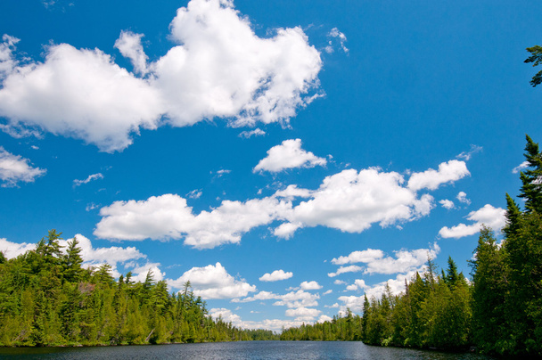 modrá obloha a mraky v lesích severní - Fotografie, Obrázek