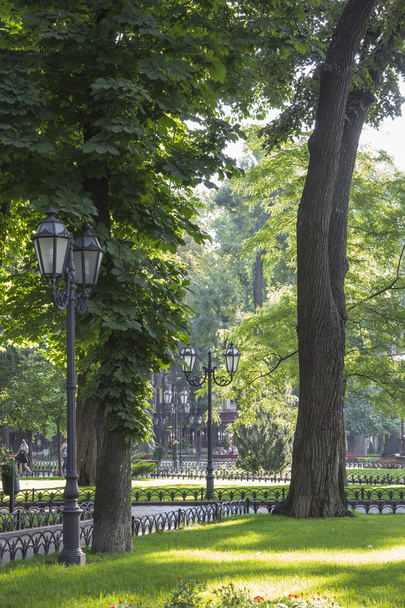 city park in Odessa, Ukraine. - Photo, Image
