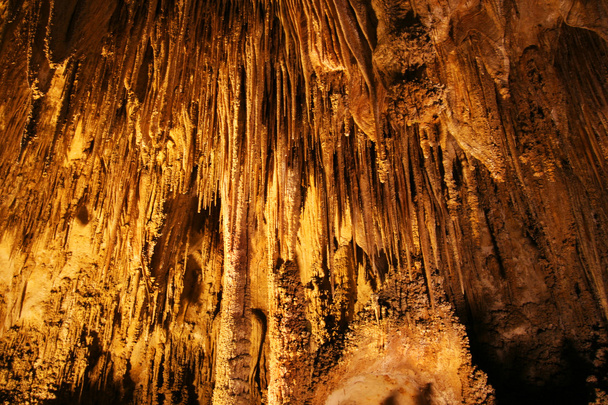 Parque Nacional das Cavernas Carlsbad, Novo México
 - Foto, Imagem