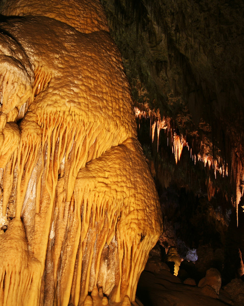 Carlsbad Caverns National Park, New Mexico - Photo, Image
