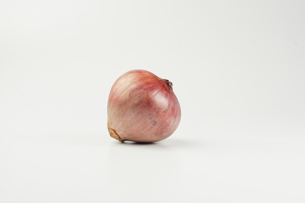 Red Onion - Foto, Imagem