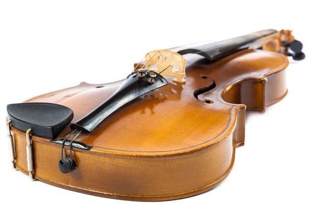 Violin on a white background. - Foto, afbeelding