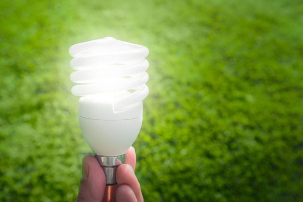 Light bulb - Photo, Image