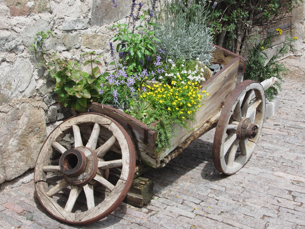 Kır çiçekleri ve otlar ile Vintage Bahçe barrow. Bes allo Scilliar, South Tyrol, İtalya - Fotoğraf, Görsel