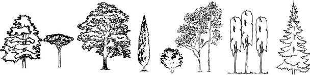 A fák vektor sziluettek - Vektor, kép