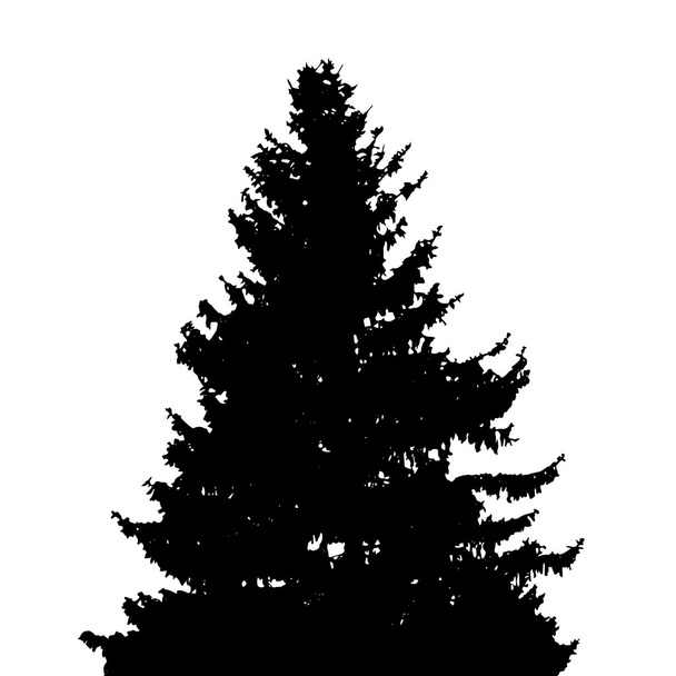 Tree Silhouette Isolated on White Background. Vector Illustratio - Vector, Image