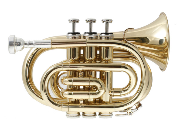 Gouden pocket trompet  - Foto, afbeelding