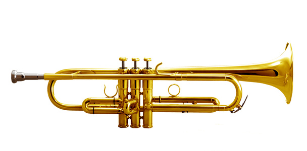 trumpetti valkoisella taustalla
 - Valokuva, kuva