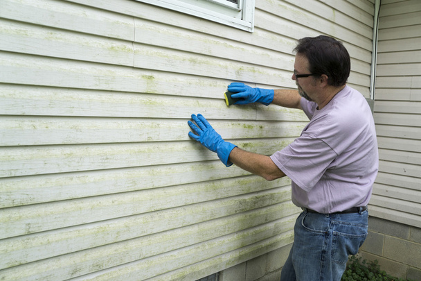 Cleaning Algae And Mold From Vinyl Siding - Photo, Image
