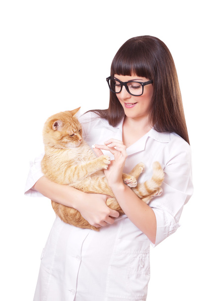Portrait of a beautiful woman holding red cat - Фото, зображення