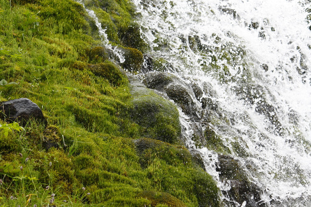 Waterfall - Zdjęcie, obraz