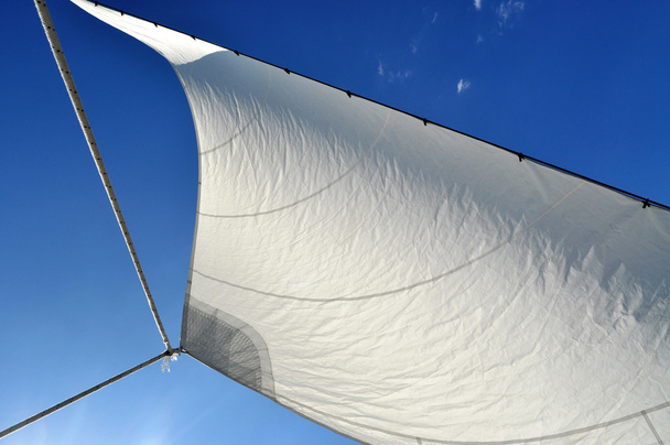 White sail on blue sky background - Valokuva, kuva